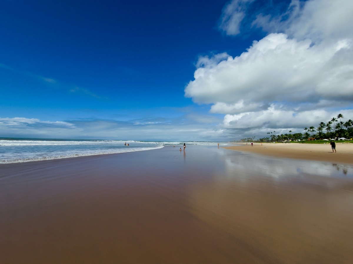 Pernambuco